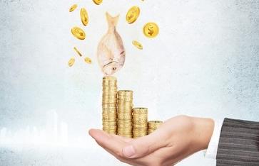 苏州要账公司:如何利用缓冲期减轻压力